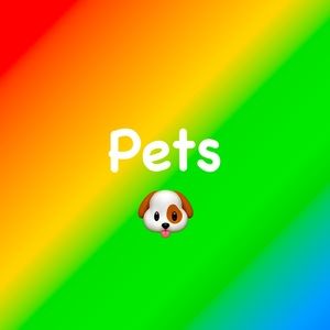 Pet items